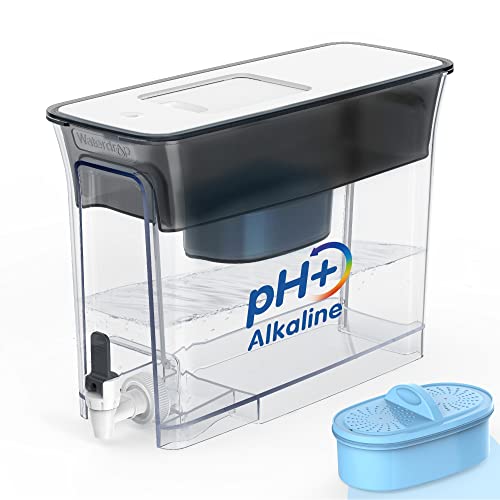 Best Alkaline Water Machines