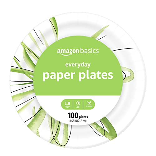 Best Disposable Plates