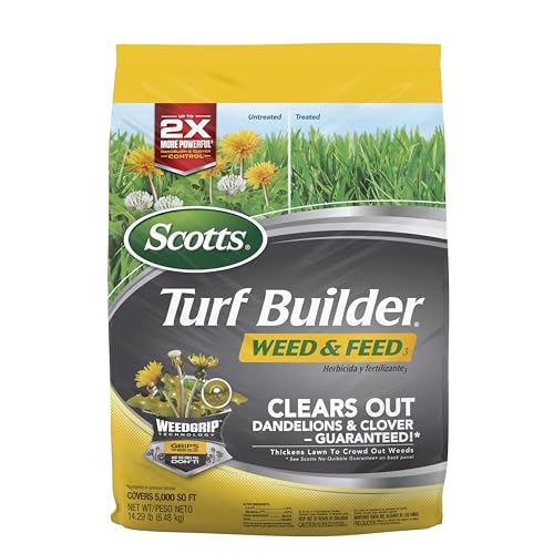 Best Lawn Fertilizer